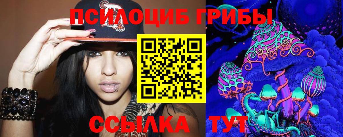 Псилоцибиновые грибы Psilocybe Первоуральск