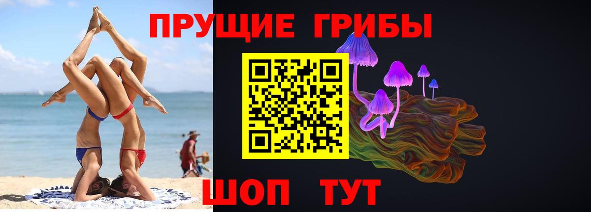 наркотики  Вход с VPN  Псилоцибиновые грибы GOLDEN TEACHER  Первоуральск  Псилоцибиновые грибы Psilocybine cubensis 